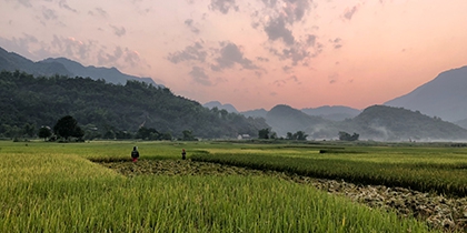 Trải nghiệm cuộc sống của 1 nông dân trong Làng rau Trà Quế