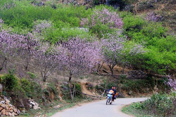 Top 10 điểm du lịch hấp dẫn nhất tại Việt Nam vào dịp tết Nguyên Đán 2023