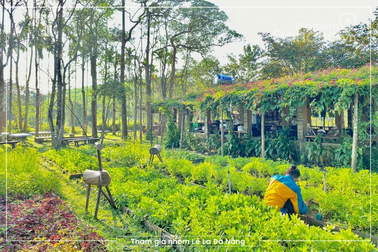 Thiên đường xanh đáng trốn phố cuối tuần ở Đà Nẵng – An Nhiên Farm