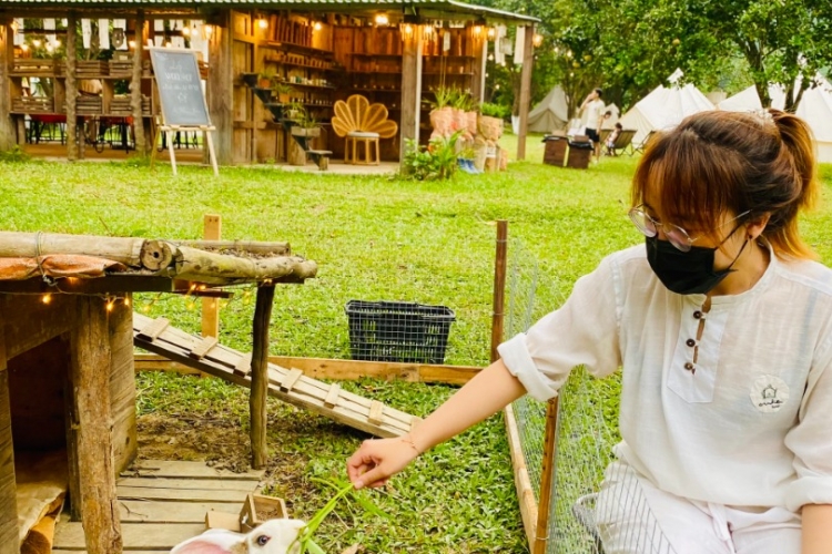 Tour Farm + Mộc  Workshop + Camping