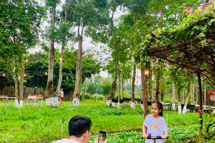 Tour Farm + Mộc  Workshop + Camping