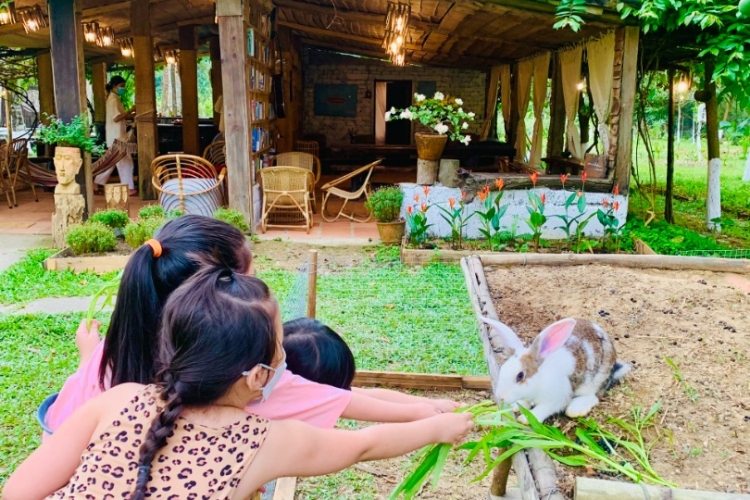 Tour Farm + Mộc  Workshop + Camping