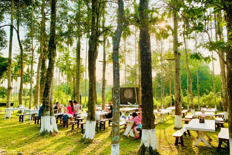 Tour Farm + Mộc  Workshop + Camping