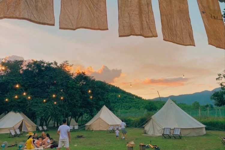 Tour Farm + Mộc  Workshop + Camping