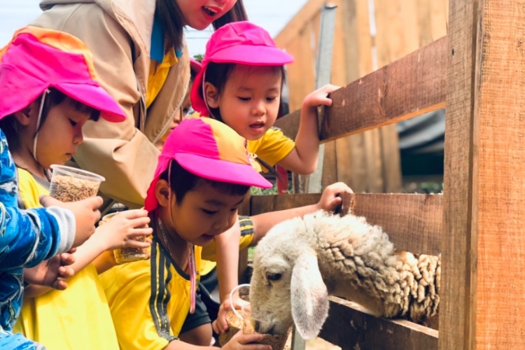 Một ngày dành cho bé trải nghiệm nông trại Baby