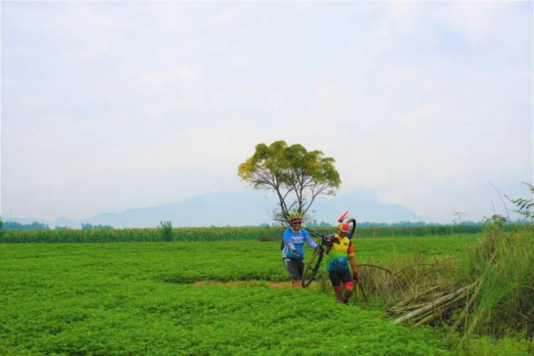 Tour đạp xe giữa hai nhánh sông Thu trải nghiệm cù lao Gò Nổi