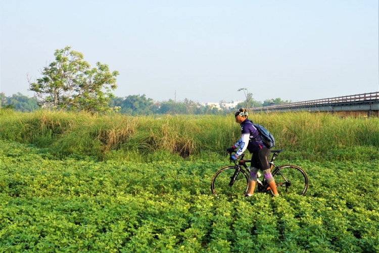 Tour đạp xe giữa hai nhánh sông Thu trải nghiệm cù lao Gò Nổi