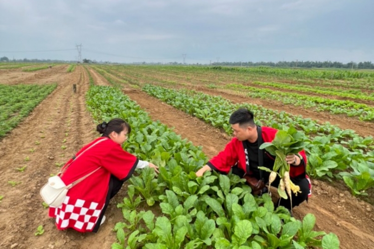 Tour Trải nghiệm làng quê sông nước Gò Nổi