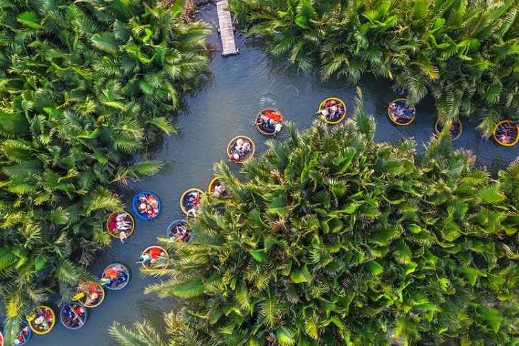 Tour 1 ngày chèo thúng tham quan Rừng Dừa Bảy Mẫu