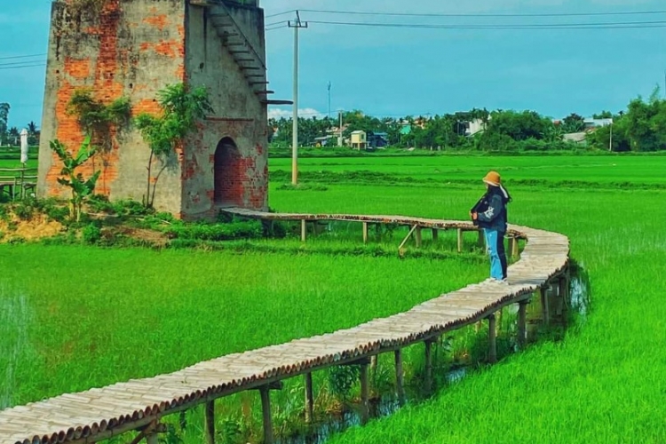 Lò gạch cũ giữa cánh đồng xanh, đẹp như phim trong khung hình 'check-in' của giới trẻ