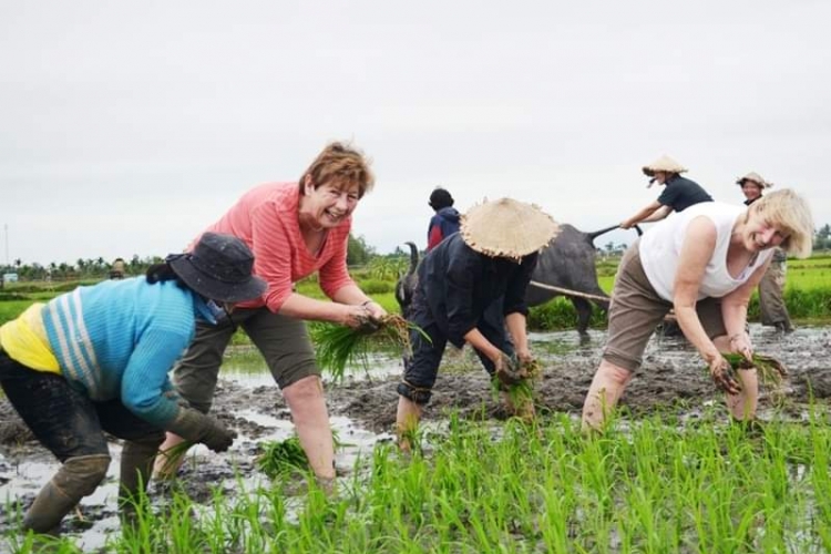 Tour một ngày làm nông dân Gò Nổi