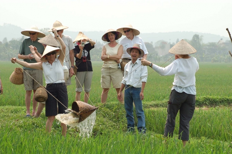 Tour một ngày làm nông dân Gò Nổi