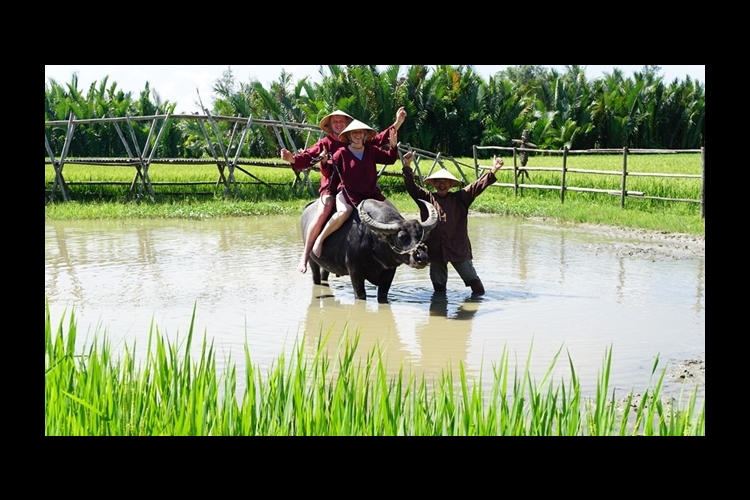 Tour một ngày làm nông dân Gò Nổi