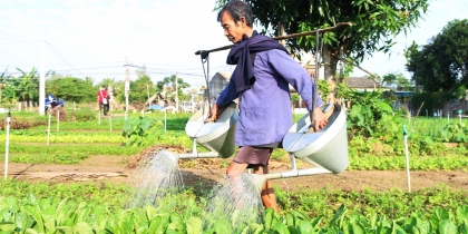 TOUR 1 NGÀY LÀNG RAU TRÀ QUẾ – LÀNG GỐM THANH HÀ