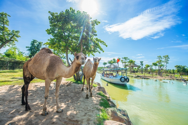 Vinpearl Nam Hội An